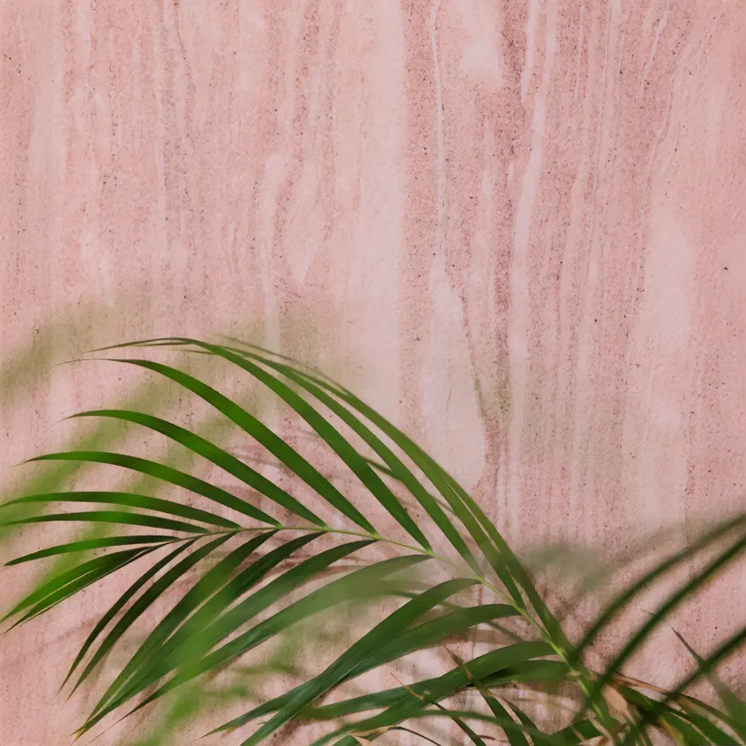 Naturem Vente De Carrelage A Orleans BERGAME 1 1