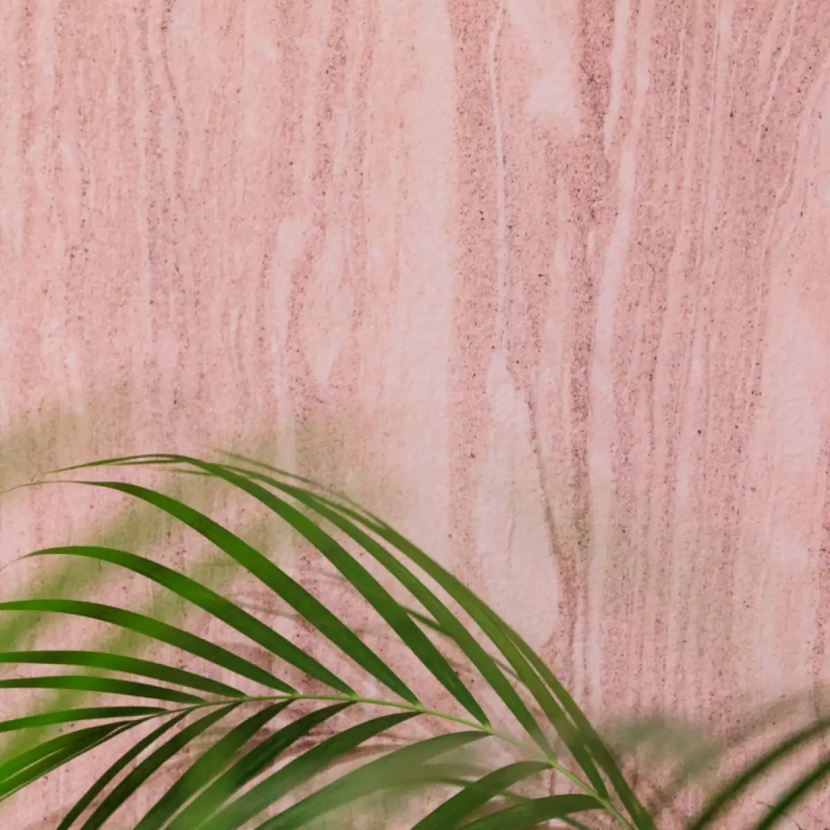 Naturem Vente De Carrelage A Orleans BERGAME 3