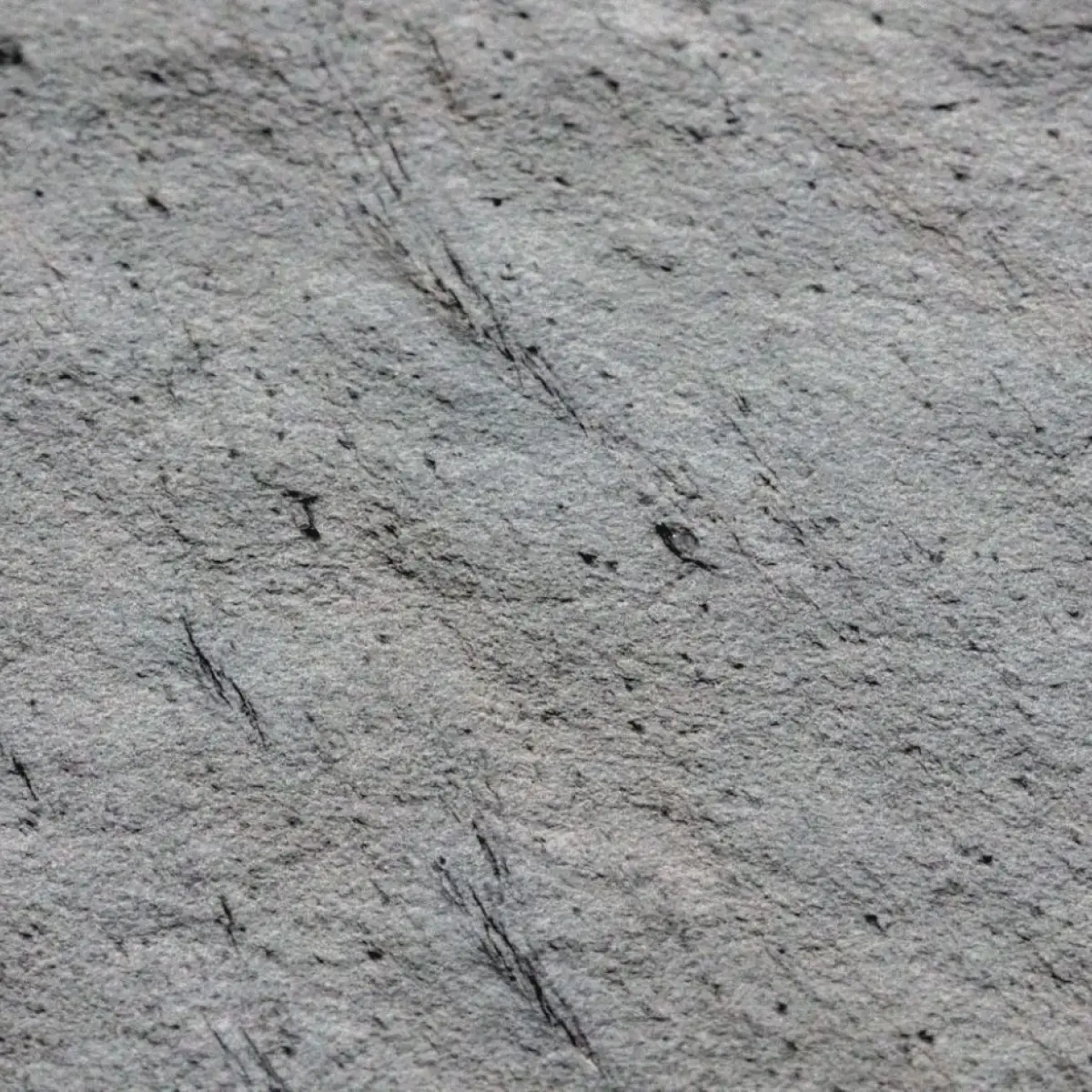 Naturem Vente De Carrelage A Orleans BLACKBURN 101 2