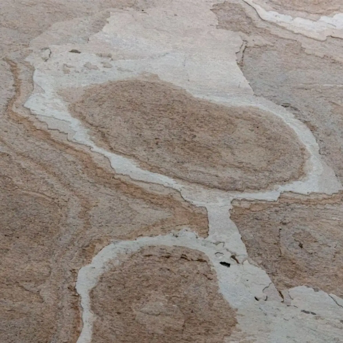 Naturem Vente De Carrelage A Orleans BONA 100 2