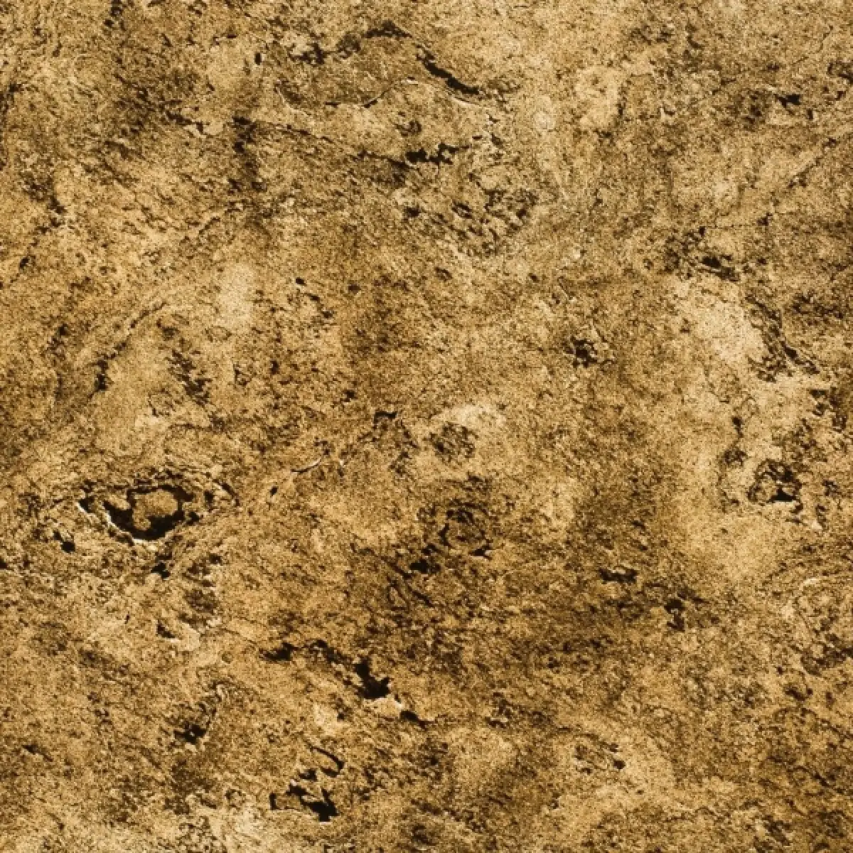 Naturem Vente De Carrelage A Orleans BONA 100 TRANSLUCIDE 5