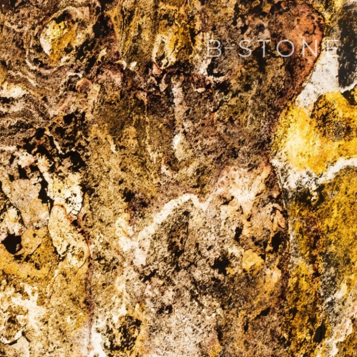 Naturem Vente De Carrelage A Orleans BONA 101 TRANSLUCIDE 4