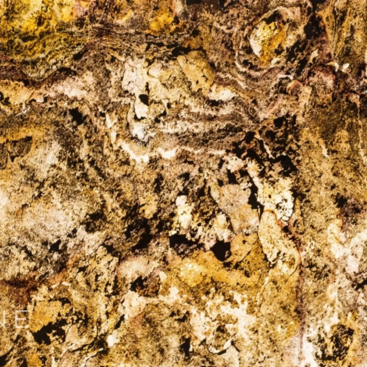 Naturem Vente De Carrelage A Orleans BONA 101 TRANSLUCIDE 5