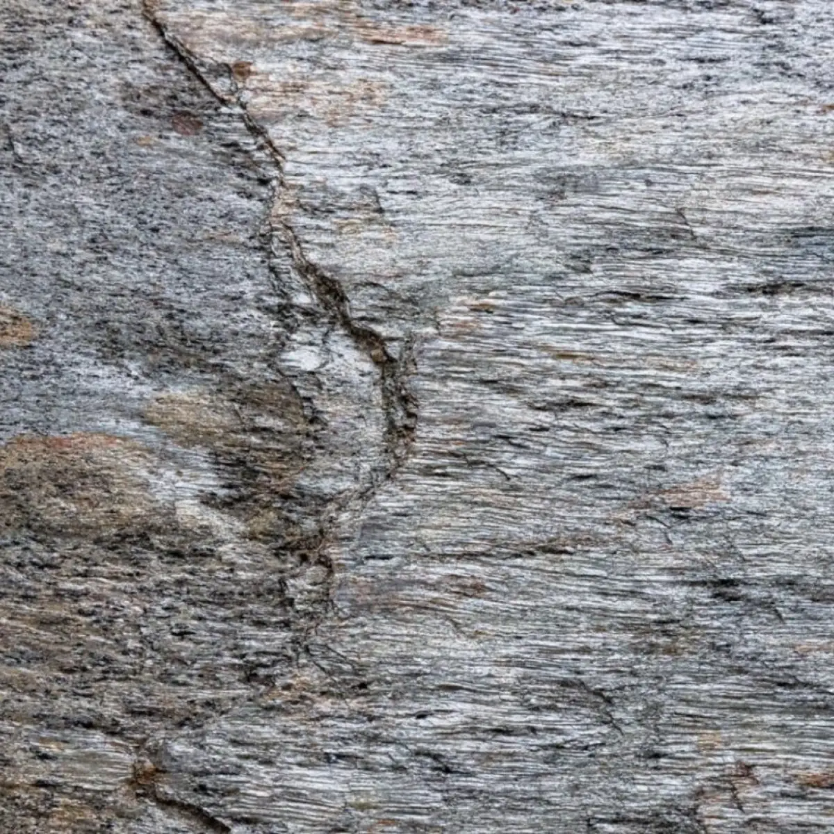 Naturem Vente De Carrelage A Orleans CERVIN 200 3