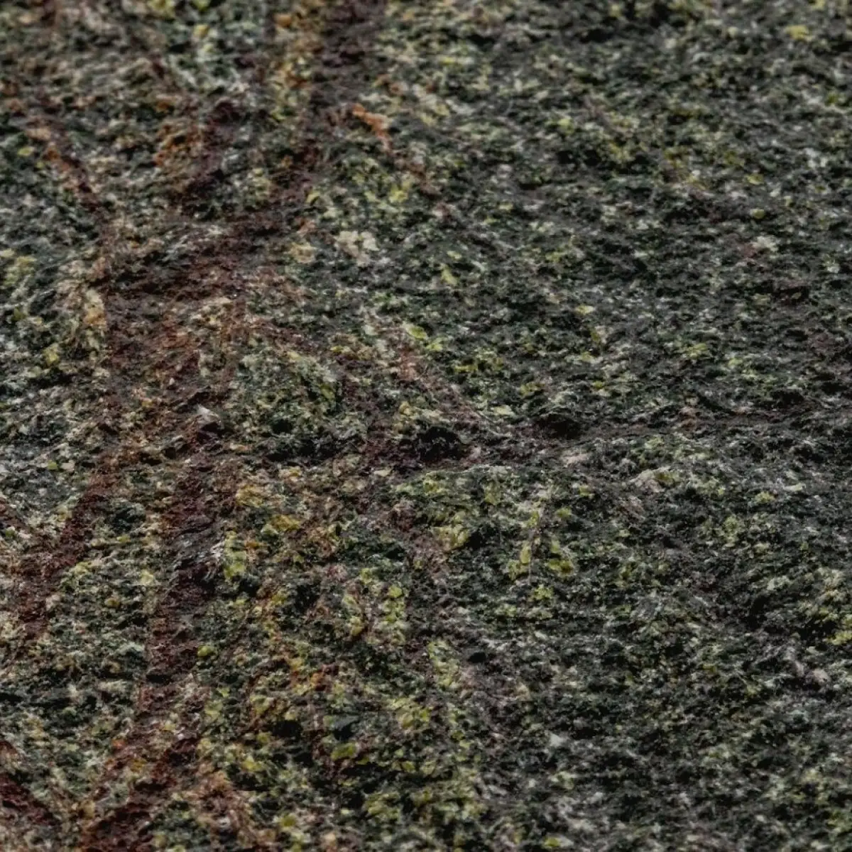 Naturem Vente De Carrelage A Orleans PALERME 2