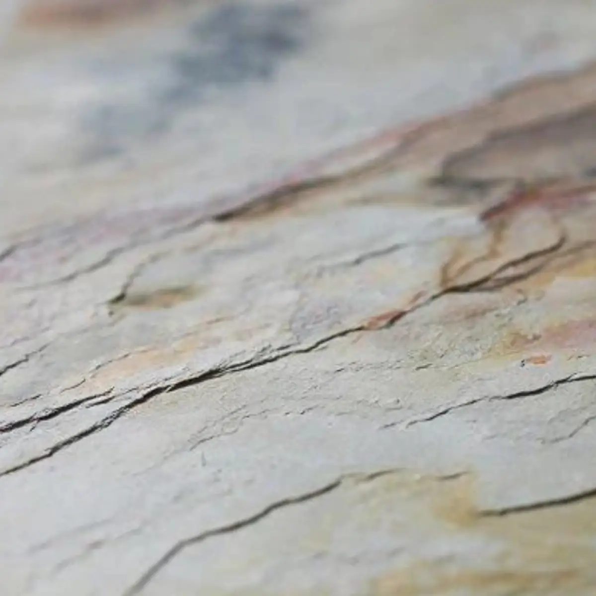 Naturem Vente De Carrelage A Orleans Image 173